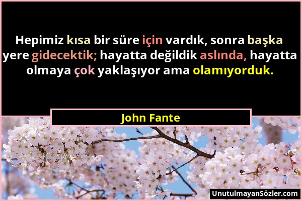 John Fante - Hepimiz kısa bir süre için vardık, sonra başka yere gidecektik; hayatta değildik aslında, hayatta olmaya çok yaklaşıyor ama olamıyorduk....