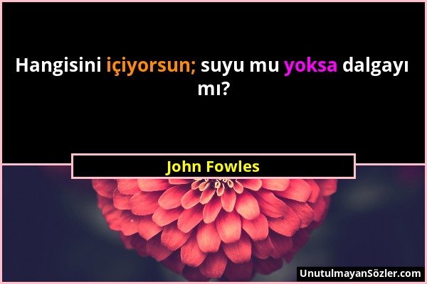John Fowles - Hangisini içiyorsun; suyu mu yoksa dalgayı mı?...