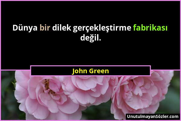John Green - Dünya bir dilek gerçekleştirme fabrikası değil....