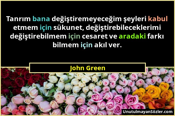 John Green - Tanrım bana değiştiremeyeceğim şeyleri kabul etmem için sükunet, değiştirebileceklerimi değiştirebilmem için cesaret ve aradaki farkı bil...