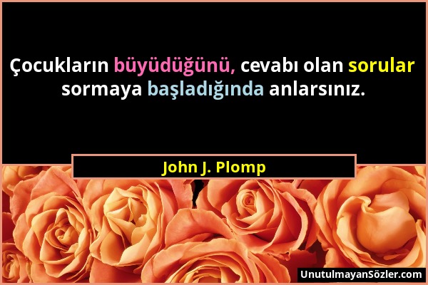 John J. Plomp - Çocukların büyüdüğünü, cevabı olan sorular sormaya başladığında anlarsınız....