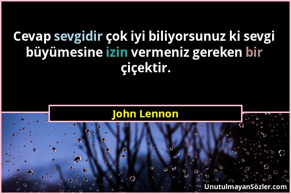 John Lennon - Cevap sevgidir çok iyi biliyorsunuz ki sevgi büyümesine izin vermeniz gereken bir çiçektir....