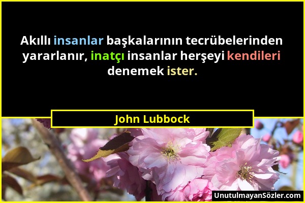 John Lubbock - Akıllı insanlar başkalarının tecrübelerinden yararlanır, inatçı insanlar herşeyi kendileri denemek ister....