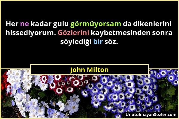 John Milton - Her ne kadar gulu görmüyorsam da dikenlerini hissediyorum. Gözlerini kaybetmesinden sonra söylediği bir söz....