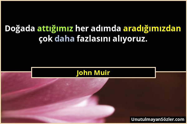 John Muir - Doğada attığımız her adımda aradığımızdan çok daha fazlasını alıyoruz....