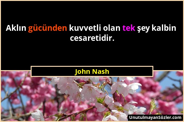 John Nash - Aklın gücünden kuvvetli olan tek şey kalbin cesaretidir....