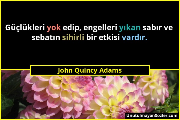 John Quincy Adams - Güçlükleri yok edip, engelleri yıkan sabır ve sebatın sihirli bir etkisi vardır....