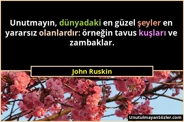 John Ruskin - Unutmayın, dünyadaki en güzel şeyler en yararsız olanlardır: örneğin tavus kuşları ve zambaklar....