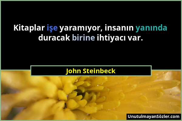 John Steinbeck - Kitaplar işe yaramıyor, insanın yanında duracak birine ihtiyacı var....