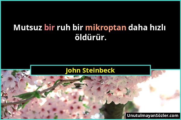 John Steinbeck - Mutsuz bir ruh bir mikroptan daha hızlı öldürür....