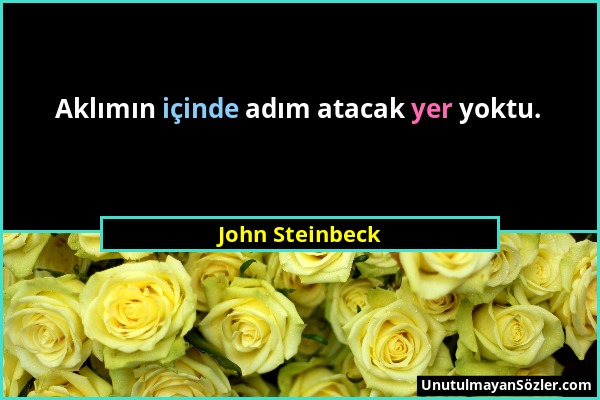 John Steinbeck - Aklımın içinde adım atacak yer yoktu....