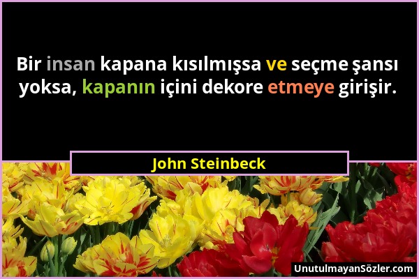 John Steinbeck - Bir insan kapana kısılmışsa ve seçme şansı yoksa, kapanın içini dekore etmeye girişir....
