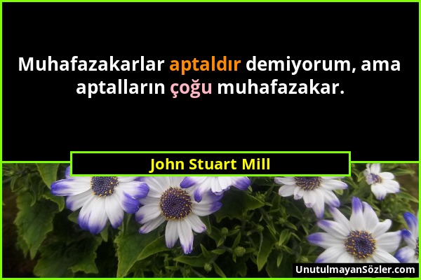 John Stuart Mill - Muhafazakarlar aptaldır demiyorum, ama aptalların çoğu muhafazakar....