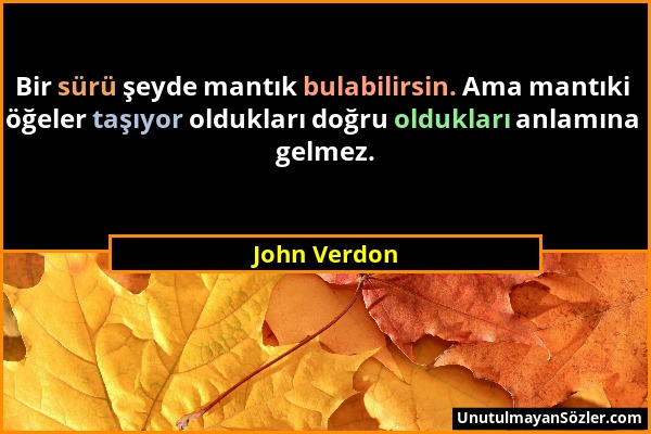 John Verdon - Bir sürü şeyde mantık bulabilirsin. Ama mantıki öğeler taşıyor oldukları doğru oldukları anlamına gelmez....