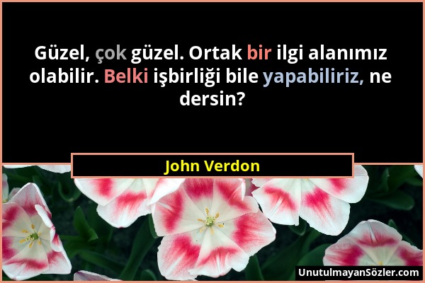 John Verdon - Güzel, çok güzel. Ortak bir ilgi alanımız olabilir. Belki işbirliği bile yapabiliriz, ne dersin?...