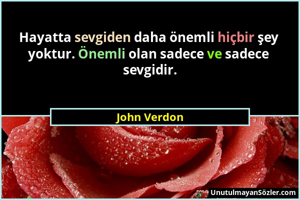 John Verdon - Hayatta sevgiden daha önemli hiçbir şey yoktur. Önemli olan sadece ve sadece sevgidir....