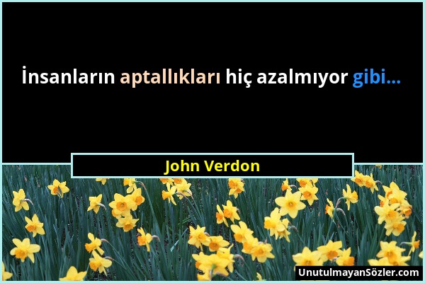 John Verdon - İnsanların aptallıkları hiç azalmıyor gibi......