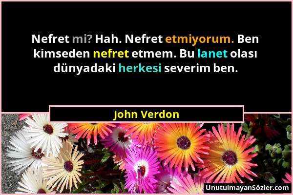 John Verdon - Nefret mi? Hah. Nefret etmiyorum. Ben kimseden nefret etmem. Bu lanet olası dünyadaki herkesi severim ben....