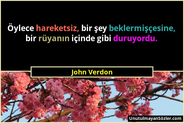 John Verdon - Öylece hareketsiz, bir şey beklermişçesine, bir rüyanın içinde gibi duruyordu....