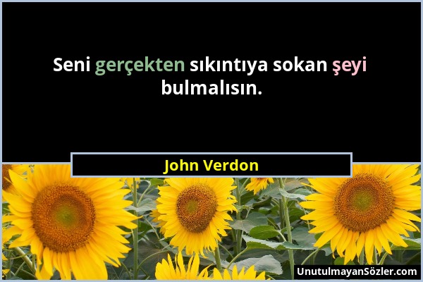 John Verdon - Seni gerçekten sıkıntıya sokan şeyi bulmalısın....