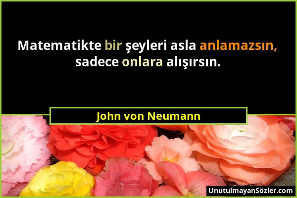 John von Neumann - Matematikte bir şeyleri asla anlamazsın, sadece onlara alışırsın....