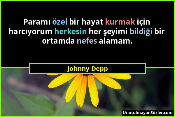 Johnny Depp - Paramı özel bir hayat kurmak için harcıyorum herkesin her şeyimi bildiği bir ortamda nefes alamam....