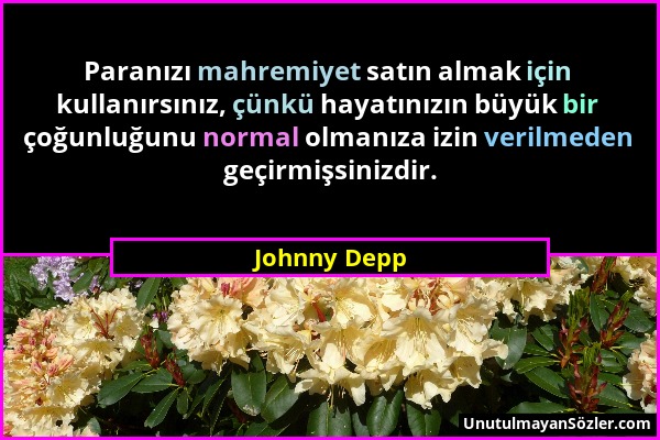 Johnny Depp - Paranızı mahremiyet satın almak için kullanırsınız, çünkü hayatınızın büyük bir çoğunluğunu normal olmanıza izin verilmeden geçirmişsini...