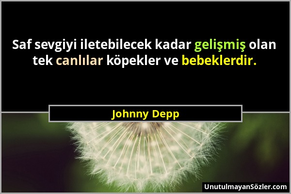 Johnny Depp - Saf sevgiyi iletebilecek kadar gelişmiş olan tek canlılar köpekler ve bebeklerdir....
