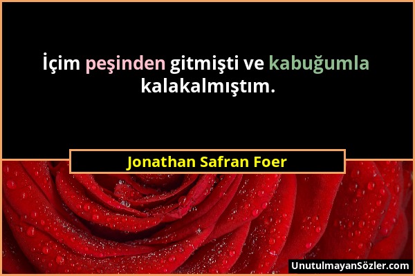 Jonathan Safran Foer - İçim peşinden gitmişti ve kabuğumla kalakalmıştım....