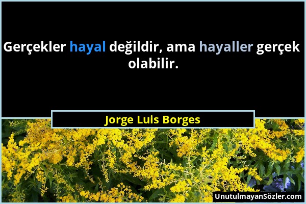 Jorge Luis Borges - Gerçekler hayal değildir, ama hayaller gerçek olabilir....