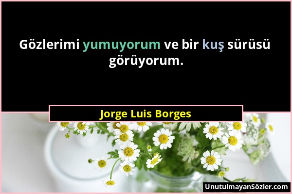 Jorge Luis Borges - Gözlerimi yumuyorum ve bir kuş sürüsü görüyorum....