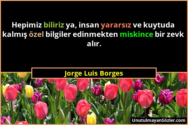 Jorge Luis Borges - Hepimiz biliriz ya, insan yararsız ve kuytuda kalmış özel bilgiler edinmekten miskince bir zevk alır....