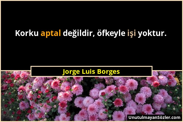 Jorge Luis Borges - Korku aptal değildir, öfkeyle işi yoktur....