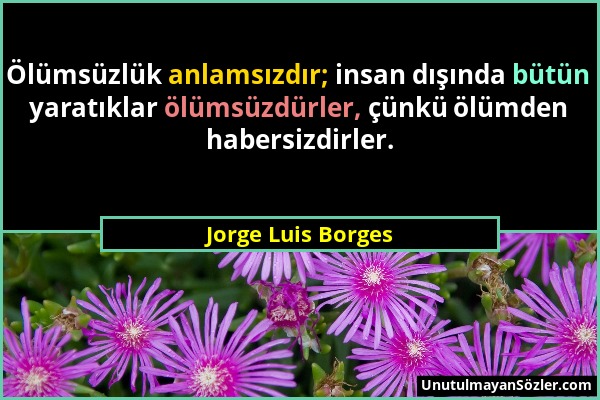 Jorge Luis Borges - Ölümsüzlük anlamsızdır; insan dışında bütün yaratıklar ölümsüzdürler, çünkü ölümden habersizdirler....