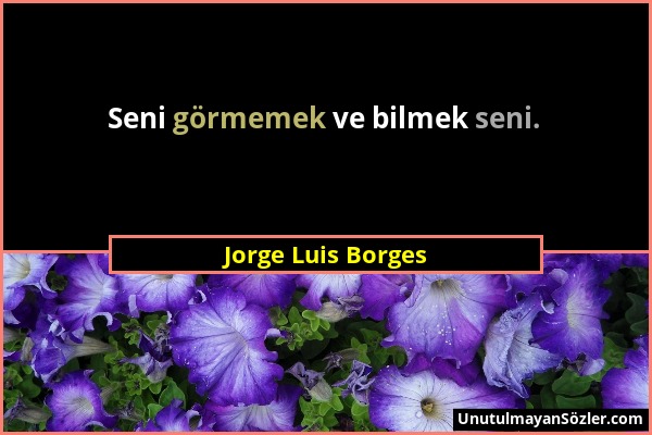 Jorge Luis Borges - Seni görmemek ve bilmek seni....