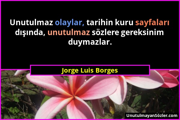 Jorge Luis Borges - Unutulmaz olaylar, tarihin kuru sayfaları dışında, unutulmaz sözlere gereksinim duymazlar....