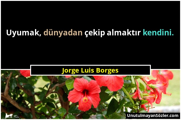 Jorge Luis Borges - Uyumak, dünyadan çekip almaktır kendini....