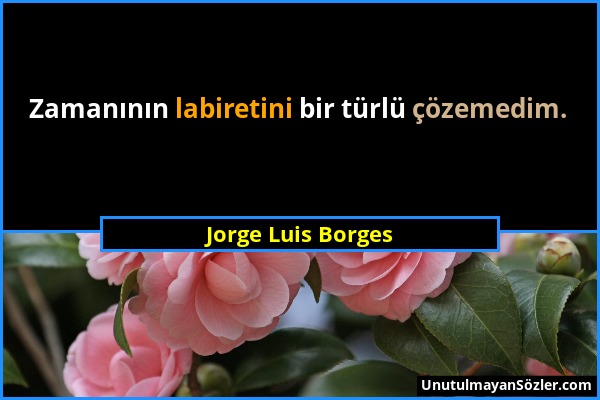 Jorge Luis Borges - Zamanının labiretini bir türlü çözemedim....