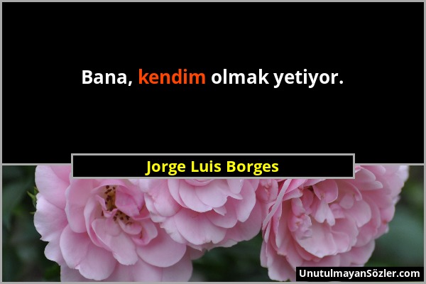 Jorge Luis Borges - Bana, kendim olmak yetiyor....