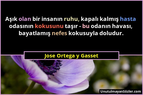 Jose Ortega y Gasset - Aşık olan bir insanın ruhu, kapalı kalmış hasta odasının kokusunu taşır - bu odanın havası, bayatlamış nefes kokusuyla doludur....