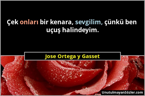 Jose Ortega y Gasset - Çek onları bir kenara, sevgilim, çünkü ben uçuş halindeyim....