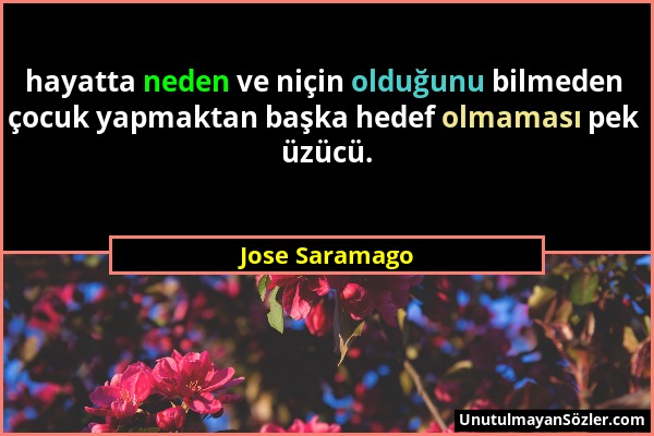 Jose Saramago - hayatta neden ve niçin olduğunu bilmeden çocuk yapmaktan başka hedef olmaması pek üzücü....