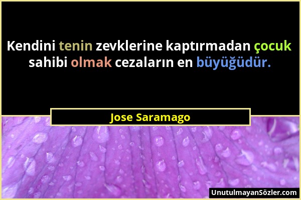 Jose Saramago - Kendini tenin zevklerine kaptırmadan çocuk sahibi olmak cezaların en büyüğüdür....
