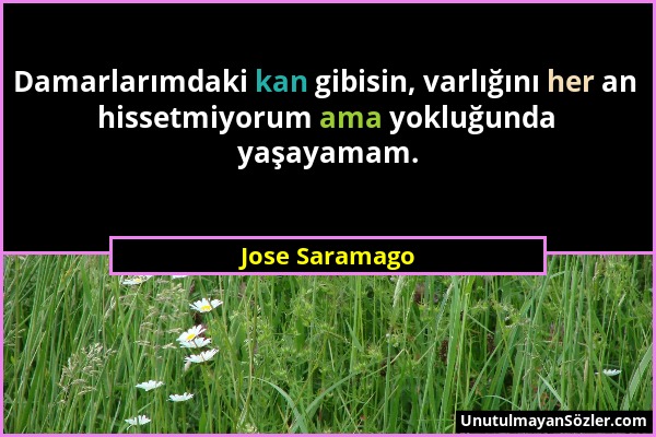 Jose Saramago - Damarlarımdaki kan gibisin, varlığını her an hissetmiyorum ama yokluğunda yaşayamam....