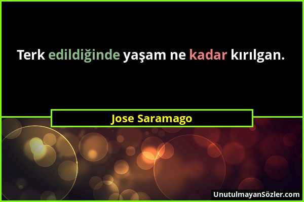 Jose Saramago - Terk edildiğinde yaşam ne kadar kırılgan....