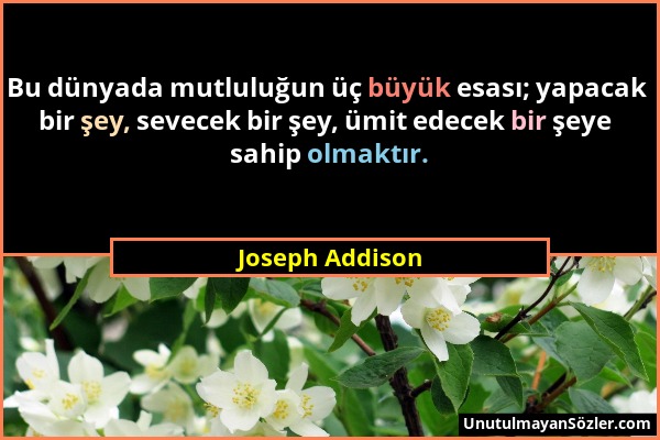 Joseph Addison - Bu dünyada mutluluğun üç büyük esası; yapacak bir şey, sevecek bir şey, ümit edecek bir şeye sahip olmaktır....