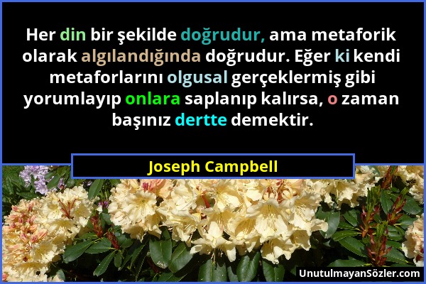 Joseph Campbell - Her din bir şekilde doğrudur, ama metaforik olarak algılandığında doğrudur. Eğer ki kendi metaforlarını olgusal gerçeklermiş gibi yo...