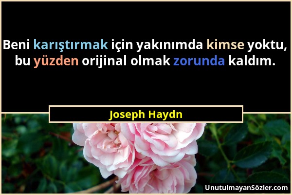 Joseph Haydn - Beni karıştırmak için yakınımda kimse yoktu, bu yüzden orijinal olmak zorunda kaldım....