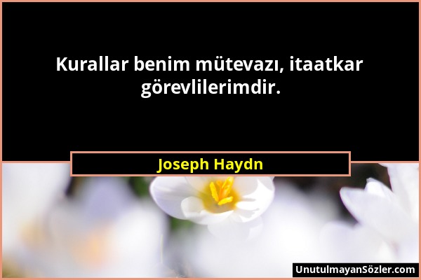 Joseph Haydn - Kurallar benim mütevazı, itaatkar görevlilerimdir....