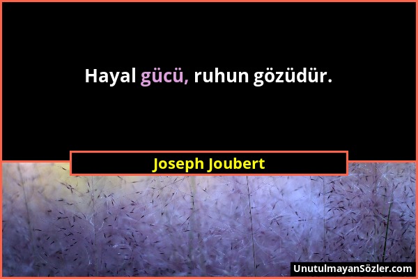 Joseph Joubert - Hayal gücü, ruhun gözüdür....